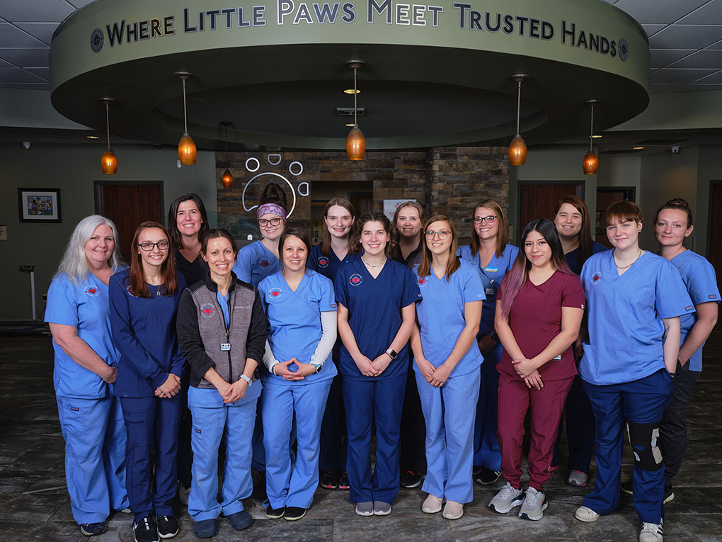 Vet Near Me Mechanicsburg, PA Good Hope Animal Hospital