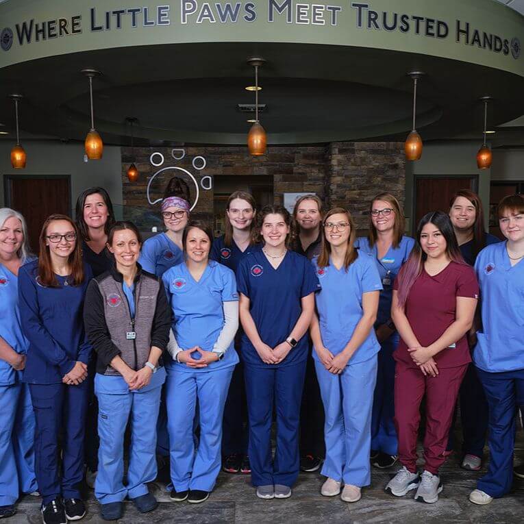 Veterinarian In Mechanicsburg, PA 17050 Good Hope AH