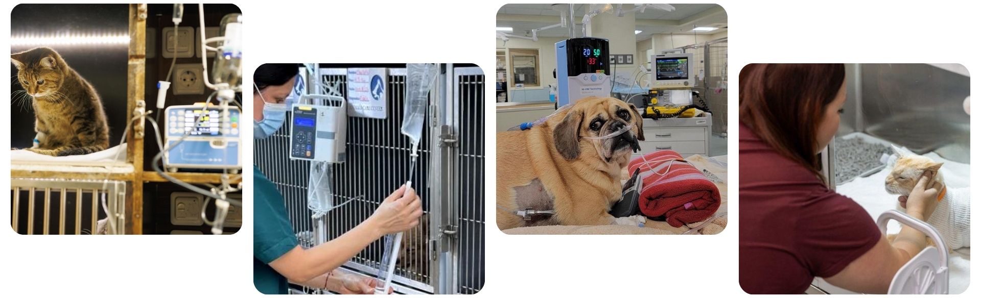 emergency services collage