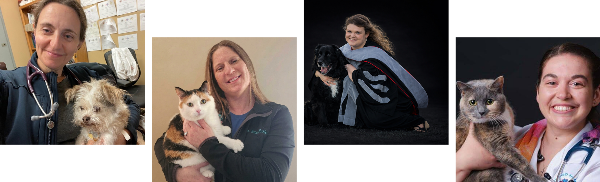 veterinarians collage
