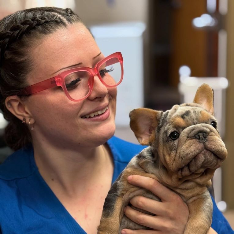 vet staff with a puppy