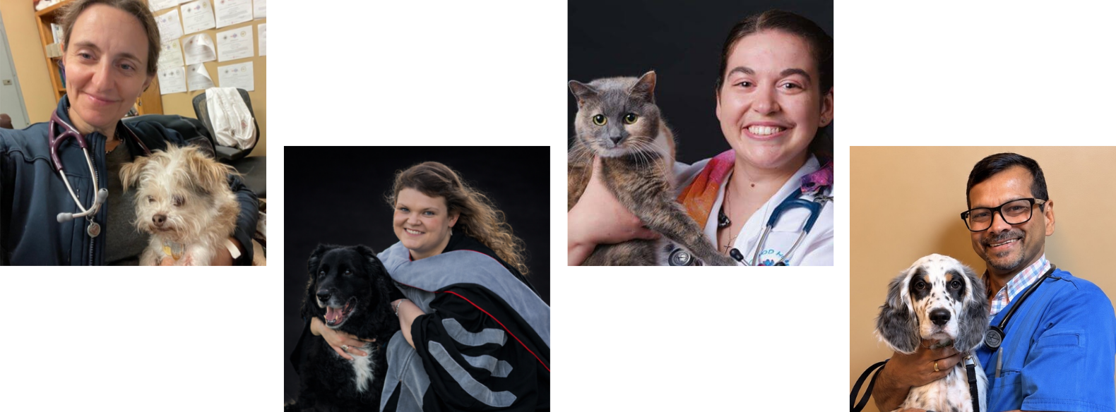 veterinarians collage